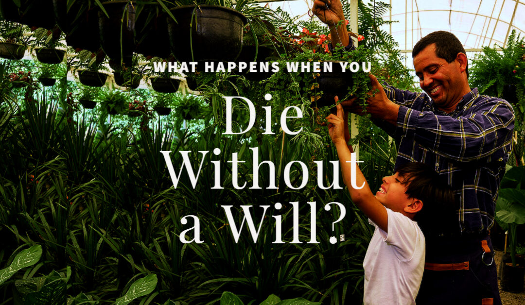 What Happens When You Die Without a Will?