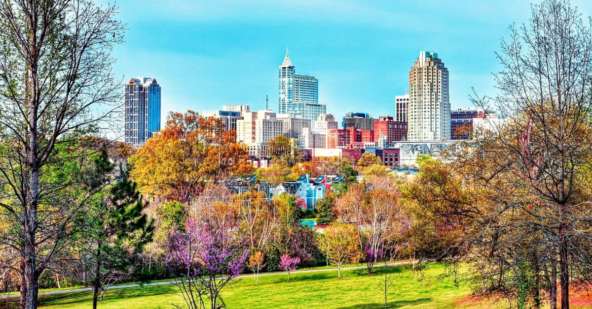 Raleigh (3) Raleigh (3)